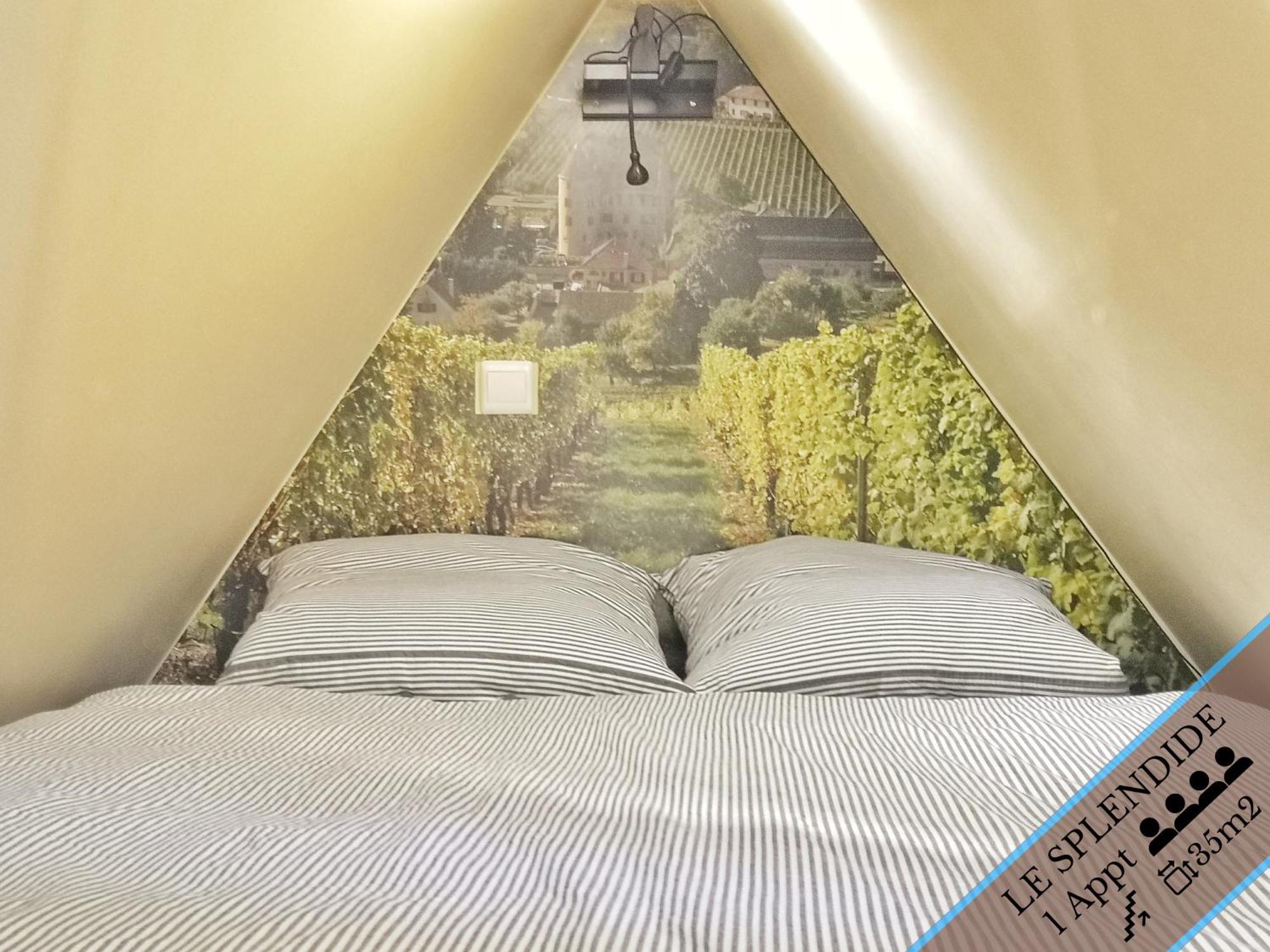 Splendide Appartement Barr - Route Du Vins חדר תמונה