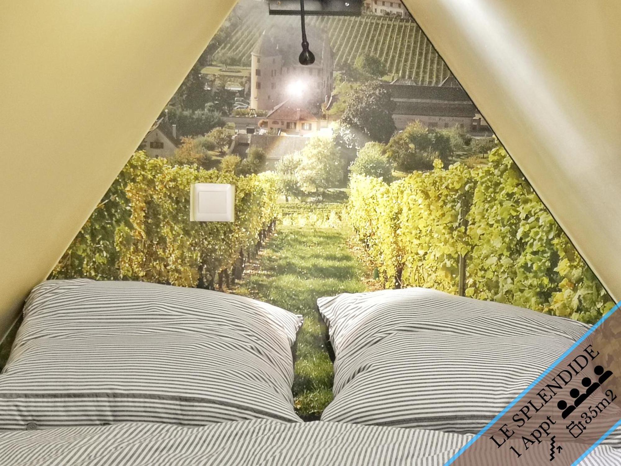 Splendide Appartement Barr - Route Du Vins חדר תמונה